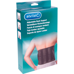 Fascia lombare